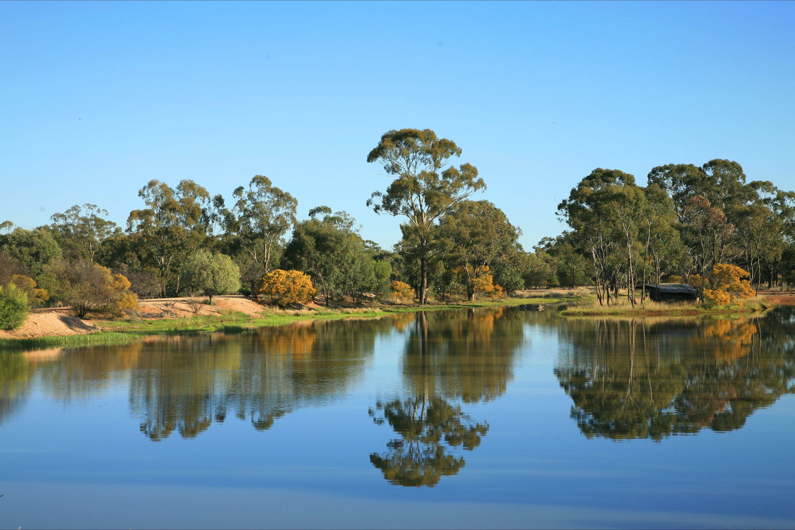 The Gums QLD New South Wales Tourism 