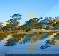 The Gums - New South Wales Tourism 