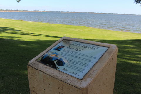 The Donald Campbell Obelisk - New South Wales Tourism  1