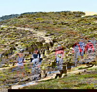 The Sole Walk at Hillocks Drive - New South Wales Tourism 