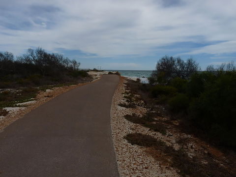 Turquoise Way Trail, Jurien Bay - New South Wales Tourism  0