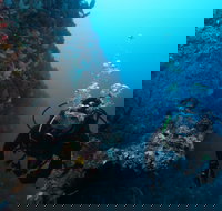 Twelve Apostles Marine National Park - New South Wales Tourism 