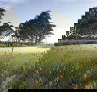 Twin Creeks Golf and Country Club - New South Wales Tourism 