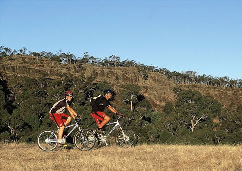 Victoria's High Country - New South Wales Tourism  2