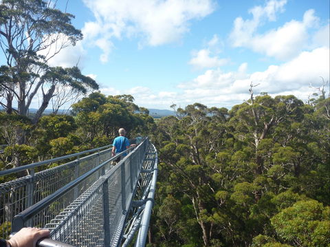 Walpole-Nornalup National Park - New South Wales Tourism  0