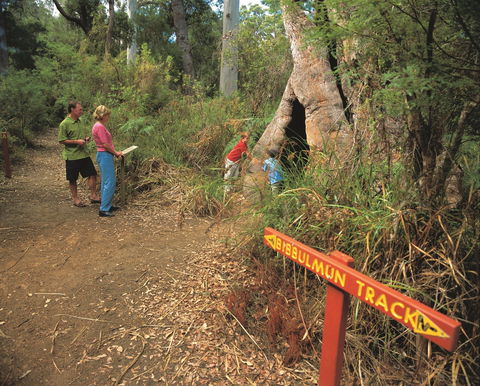 Walpole-Nornalup National Park - New South Wales Tourism  1