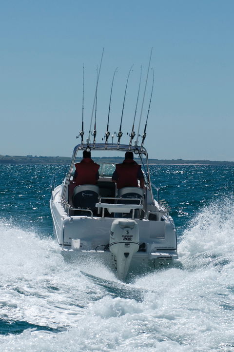 Western Port - New South Wales Tourism  1
