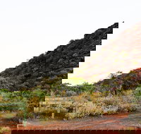 Whyalla Conservation Park - New South Wales Tourism 