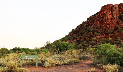 Whyalla Conservation Park - New South Wales Tourism  0