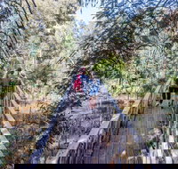 Yea Wetlands Walk - New South Wales Tourism 