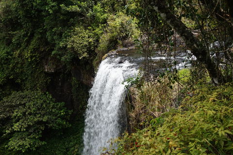 Zillie Falls - New South Wales Tourism  0