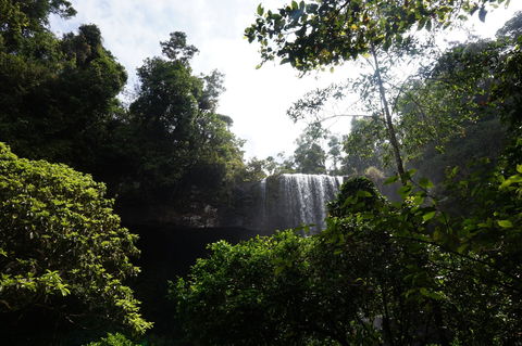 Zillie Falls - New South Wales Tourism  1
