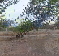 Alexander Forest Memorial - New South Wales Tourism 