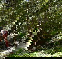 Alfred National Park - New South Wales Tourism 