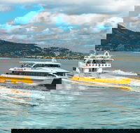 Apex Camps Magnetic Island Group Accommodation Activities and Events - New South Wales Tourism 