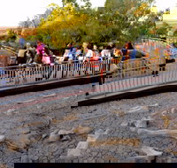 Australian Age of Dinosaurs - New South Wales Tourism 