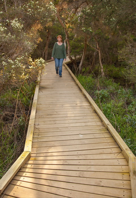 Balcombe Creek Estuary Boardwalk - New South Wales Tourism  0