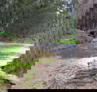 Bangadilly National Park - New South Wales Tourism 