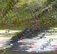 Berry Springs - New South Wales Tourism 