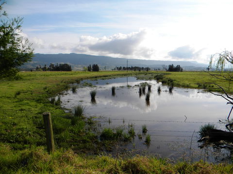 Bolong - New South Wales Tourism  2