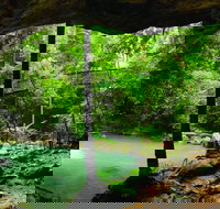 Buderim - New South Wales Tourism 