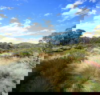 Bullocks walking track - New South Wales Tourism 