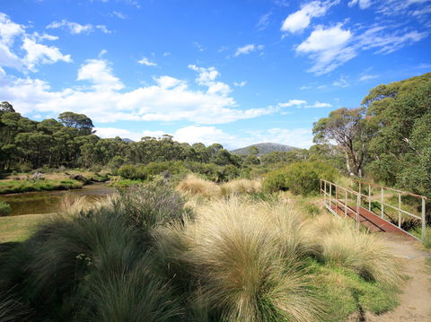 Bullocks Walking Track - New South Wales Tourism  0