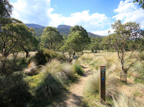 Bullocks Walking Track - New South Wales Tourism  2