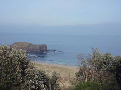 Bushrangers Bay - New South Wales Tourism  0