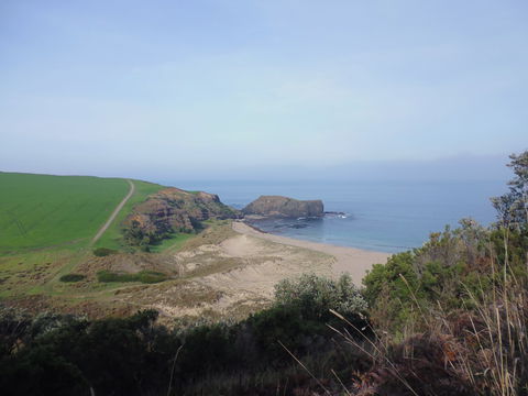 Bushrangers Bay - New South Wales Tourism  1