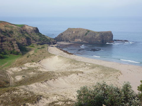 Bushrangers Bay - New South Wales Tourism  2