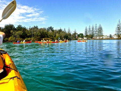 Byron Bay River Nature Kayak Tour - New South Wales Tourism  0
