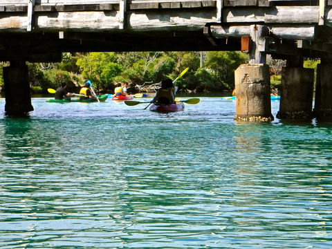 Byron Bay River Nature Kayak Tour - New South Wales Tourism  1