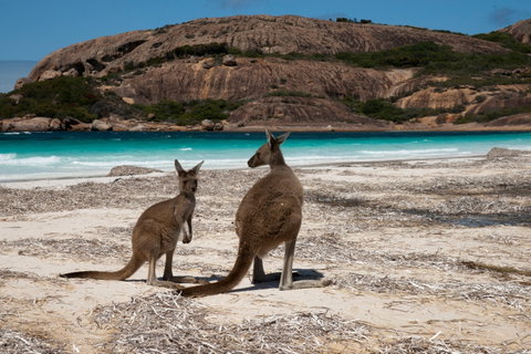 Cape Le Grand National Park - New South Wales Tourism  0