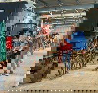 Captain's Cottage Museum - New South Wales Tourism 