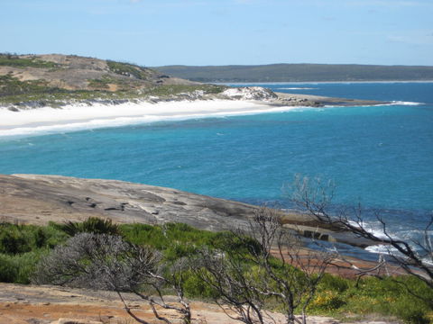 Cape Arid National Park - New South Wales Tourism  1