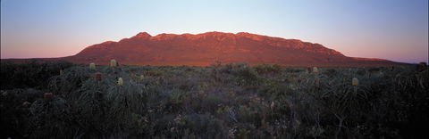 Cape Arid National Park - New South Wales Tourism  2