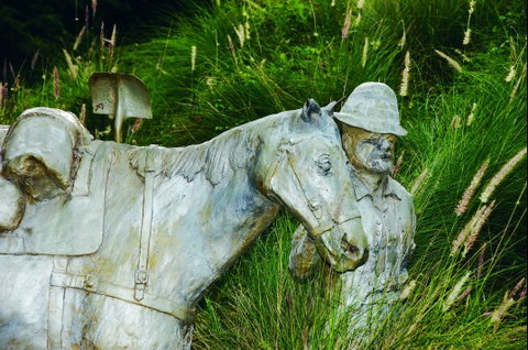 Centenary Park - New South Wales Tourism  0
