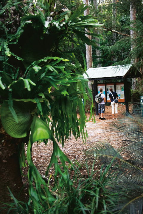 Central Station - New South Wales Tourism  1