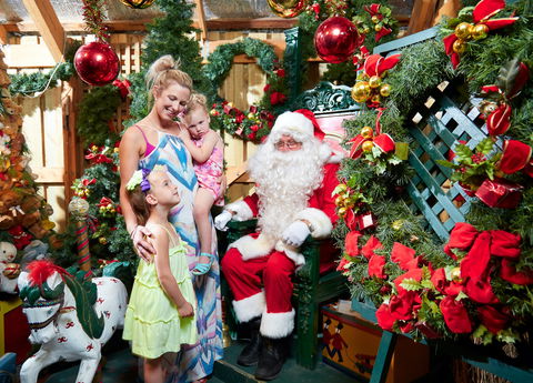 Christmas Tree Farm - New South Wales Tourism  2