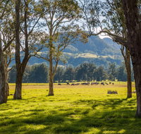 Coast to the Highlands Scenic Drive  Kangaroo Valley