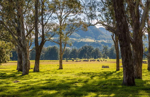 Coast To The Highlands Scenic Drive – Kangaroo Valley - New South Wales Tourism  0