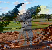 Cobar Miners Heritage Park - New South Wales Tourism 