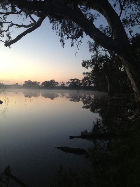 Cockatoo Lake Recreation Reserve - New South Wales Tourism  0