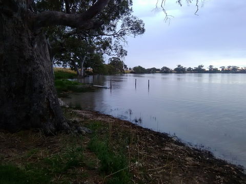 Cockatoo Lake Recreation Reserve - New South Wales Tourism  1