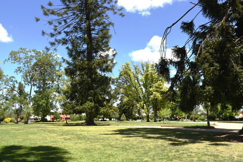Collins Park - New South Wales Tourism  2