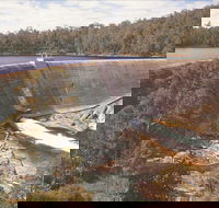 Collie - New South Wales Tourism 