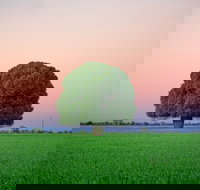 Condamine - New South Wales Tourism 