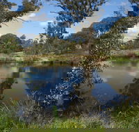 Cooleman Ridge - New South Wales Tourism 