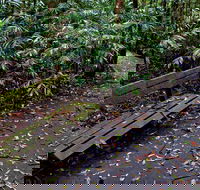 Coombadjha Nature Stroll - New South Wales Tourism 